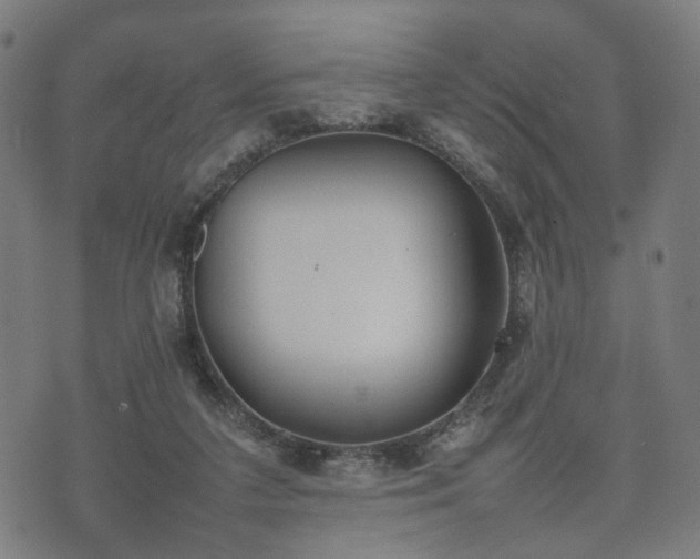 X0000074930211200609081334