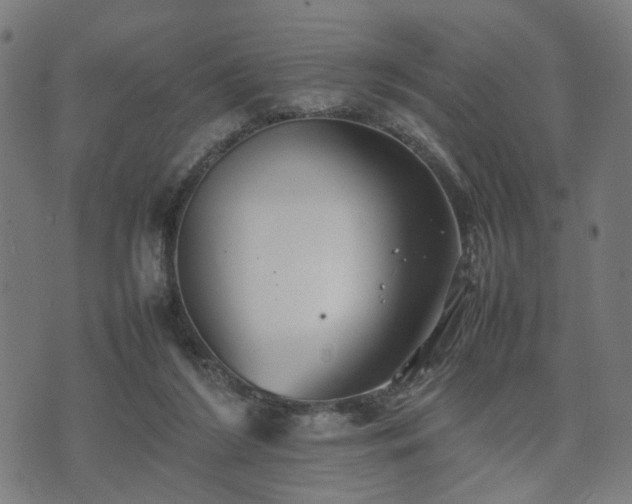 X0000074930212200609081334