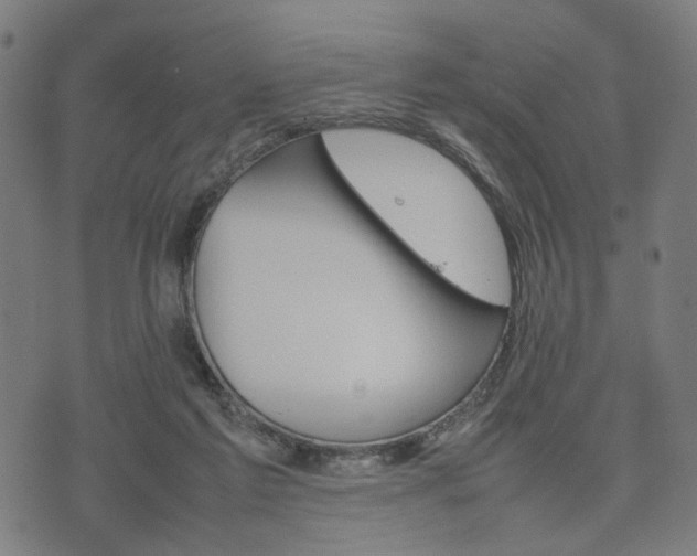 X0000074930213200609081334