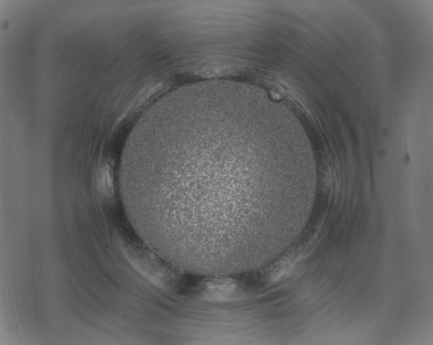 X0000074930214200609081334