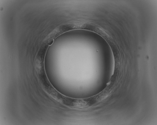 X0000074930215200609081334