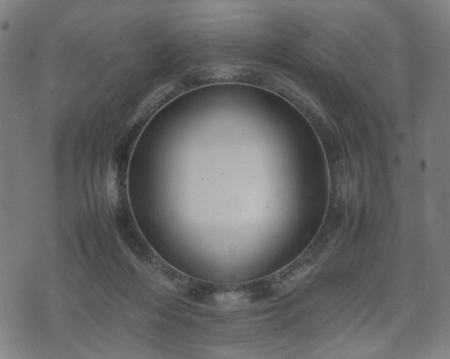 X0000074930216200609081334