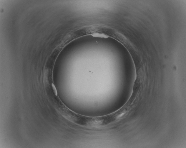 X0000074930217200609081334