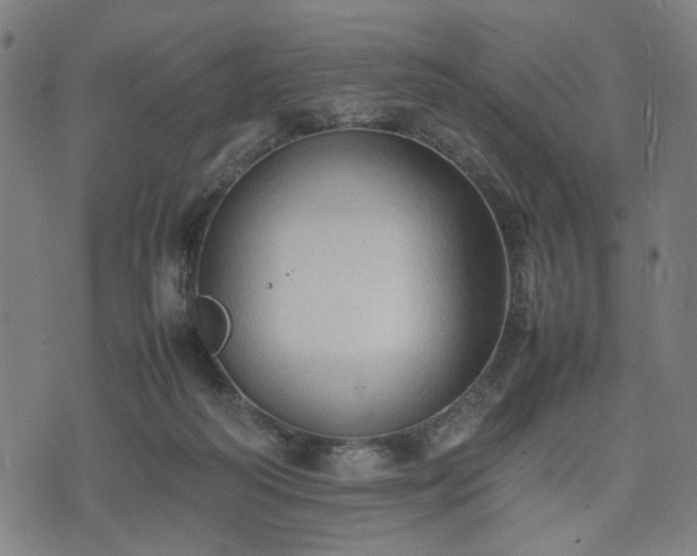 X0000074930218200609081334