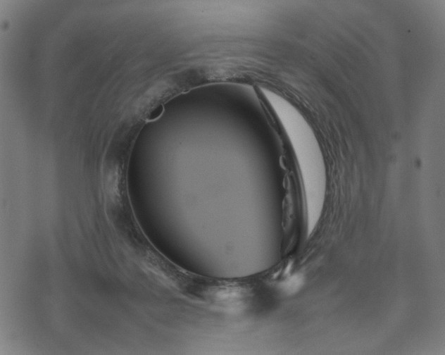 X0000074930219200609081334