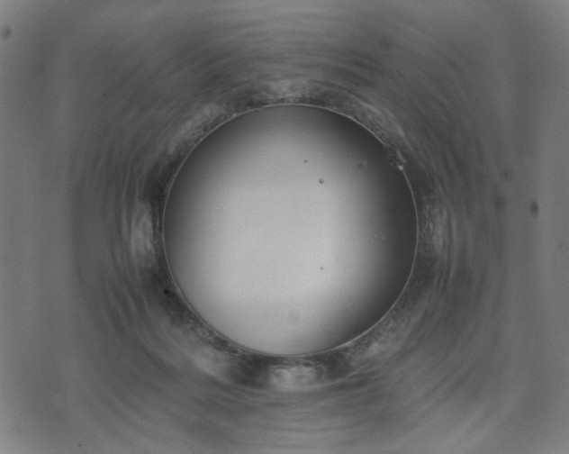 X0000074930220200609081334