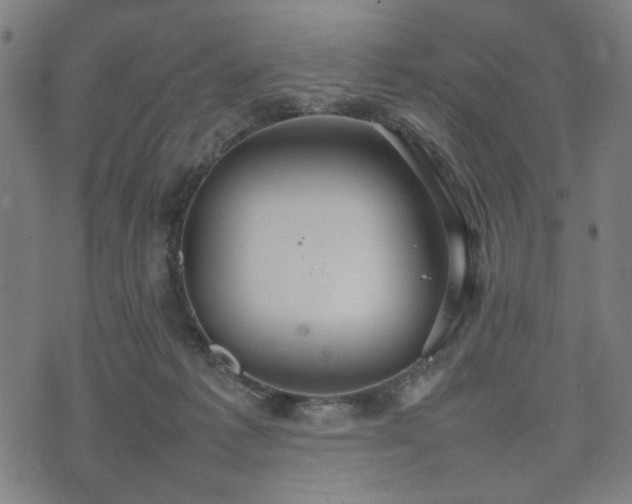 X0000074930221200609081334