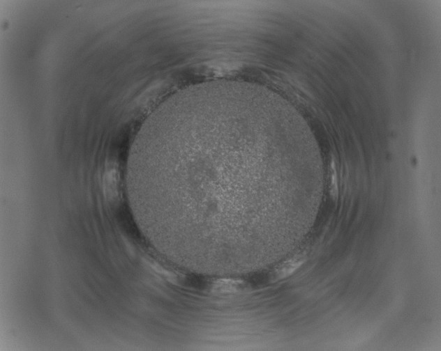 X0000074930222200609081334