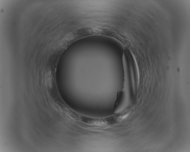 X0000074930223200609081334