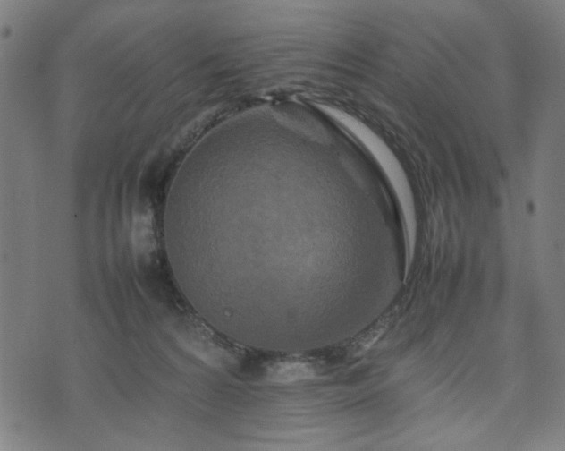 X0000074930224200609081334