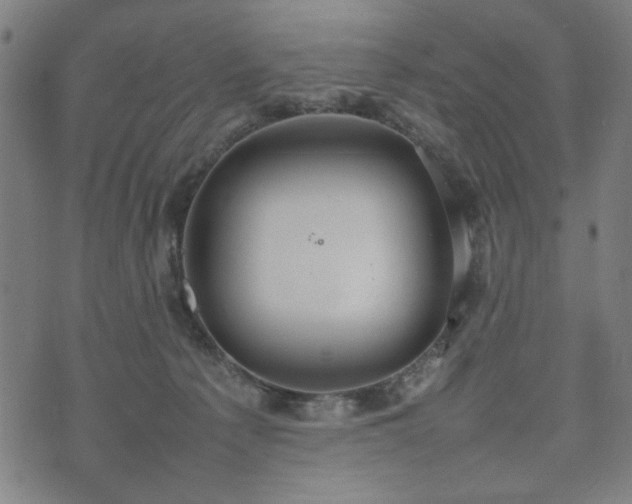 X0000074930225200609081334