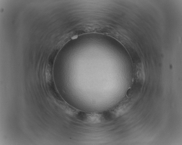 X0000074930226200609081334