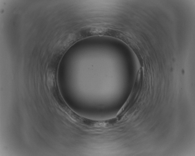 X0000074930227200609081334