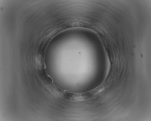 X0000074930228200609081334