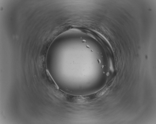 X0000074930229200609081334