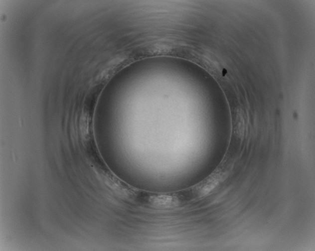 X0000074930230200609081334