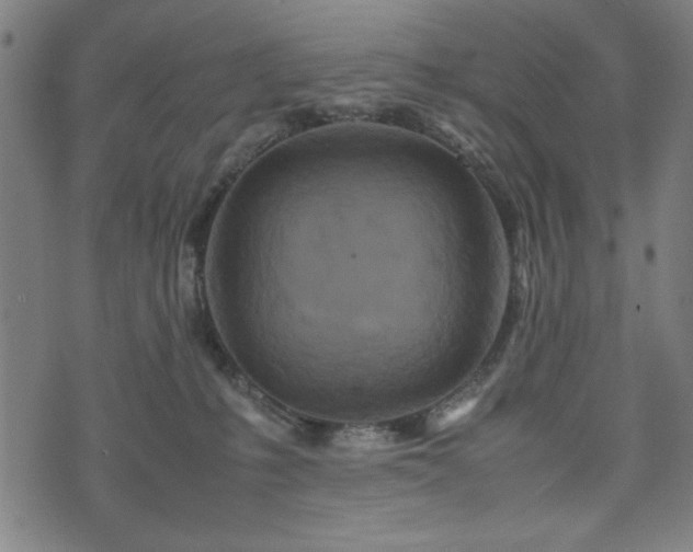 X0000074930231200609081334