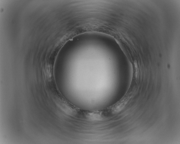 X0000074930232200609081334