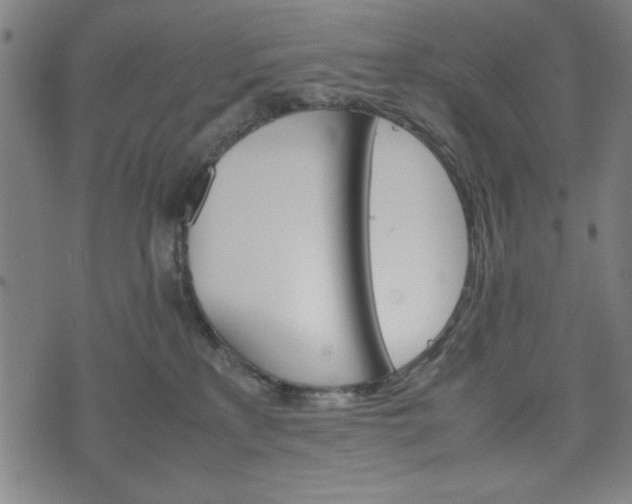 X0000074930233200609081334