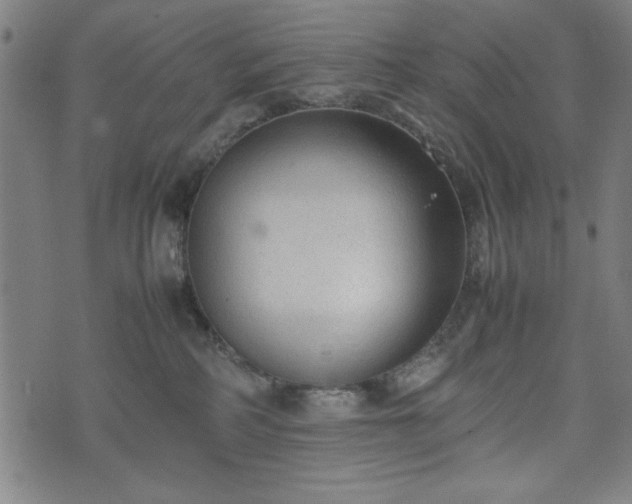 X0000074930234200609081334