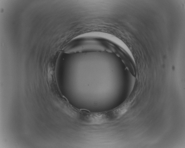 X0000074930235200609081334