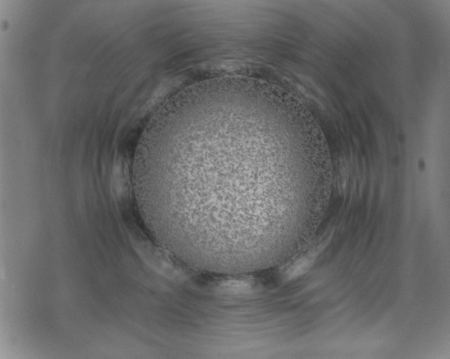 X0000074930236200609081333