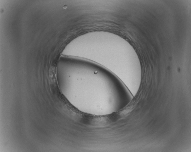 X0000074930237200609081333