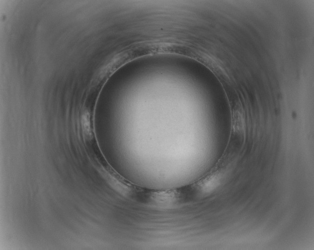 X0000074930238200609081333