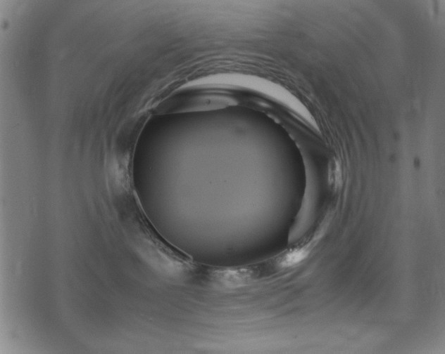 X0000074930239200609081333