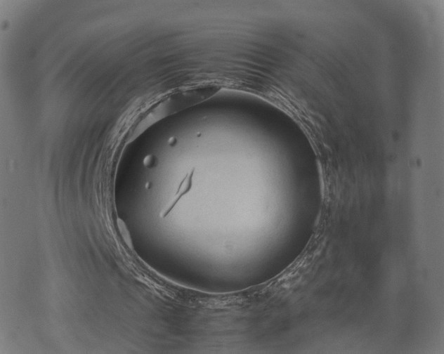 X0000074930241200609081333