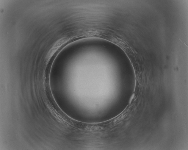 X0000074930242200609081333