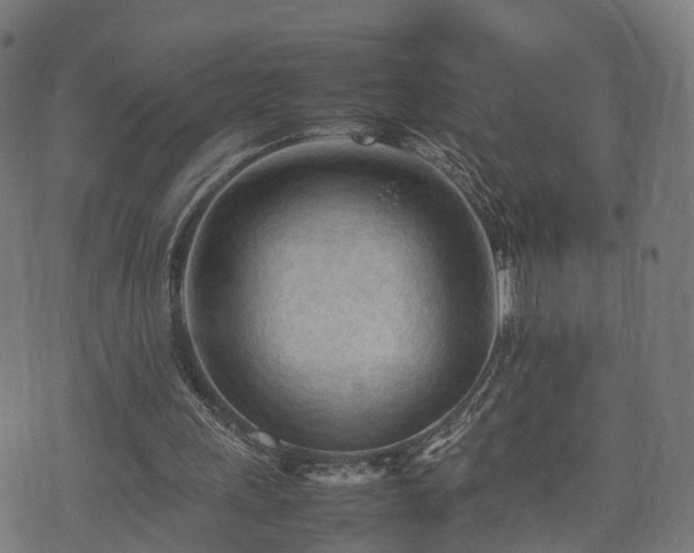 X0000074930243200609081333