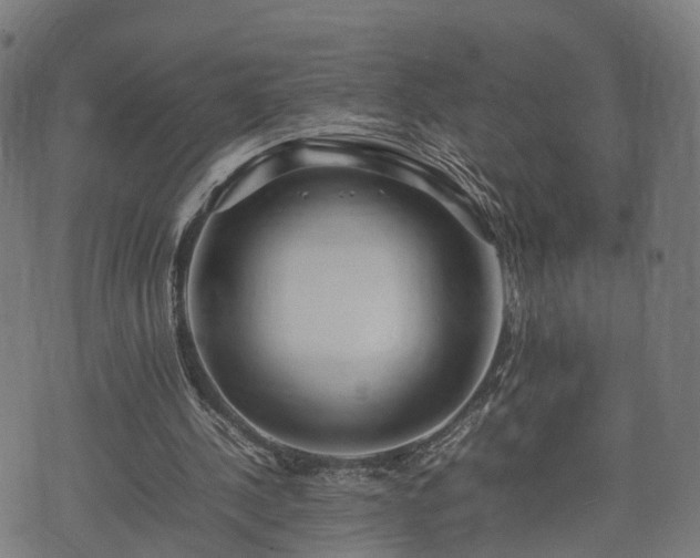 X0000074930244200609081333