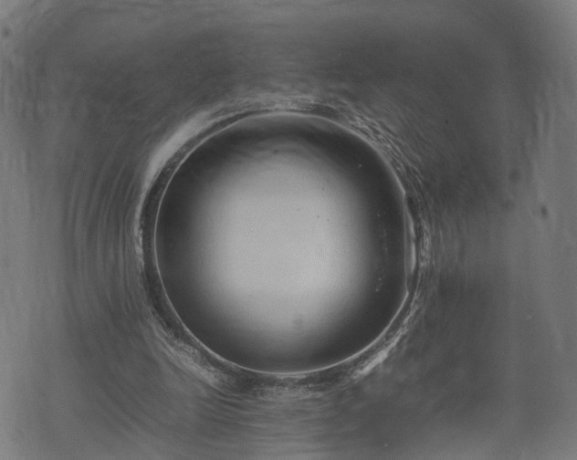 X0000074930246200609081333