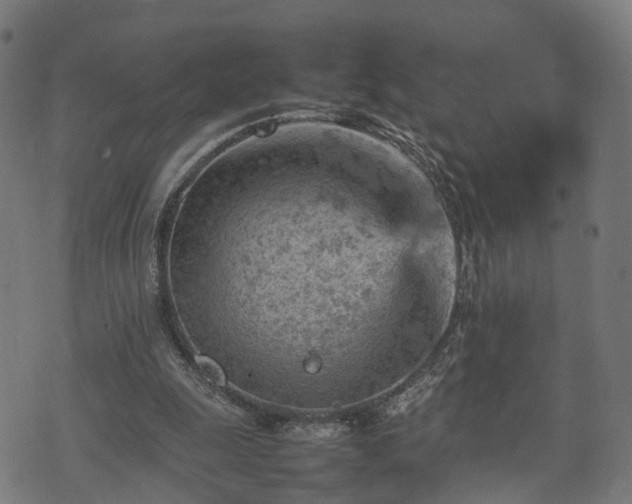 X0000074930247200609081333