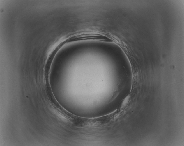 X0000074930248200609081333