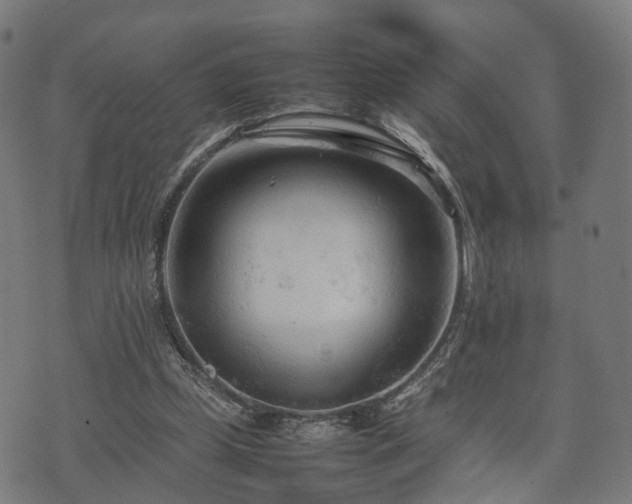 X0000074930249200609081333