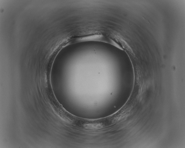 X0000074930251200609081333