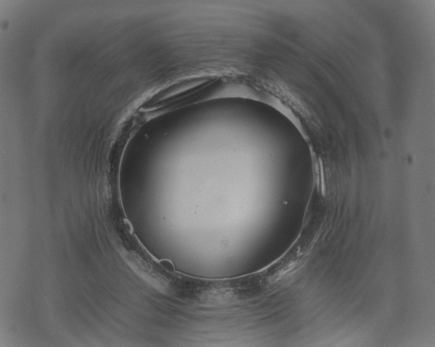 X0000074930252200609081333