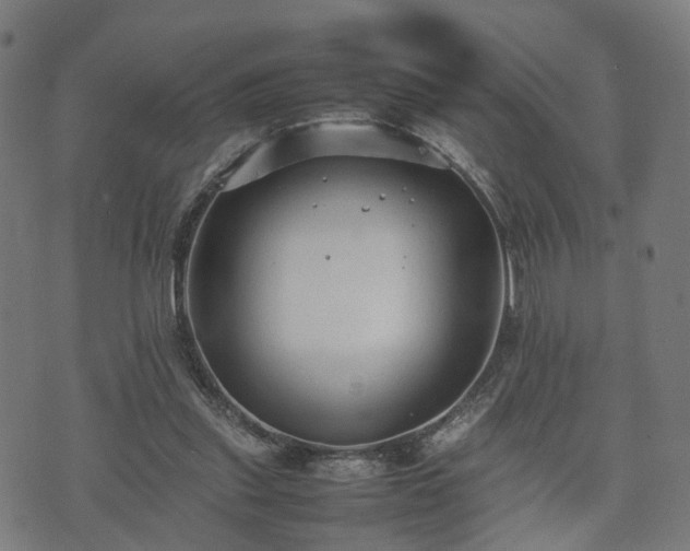 X0000074930253200609081333