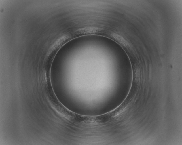 X0000074930254200609081333