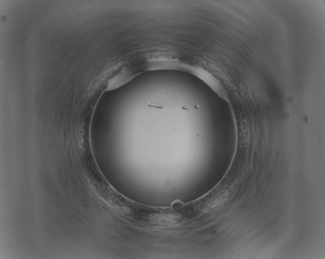 X0000074930255200609081333