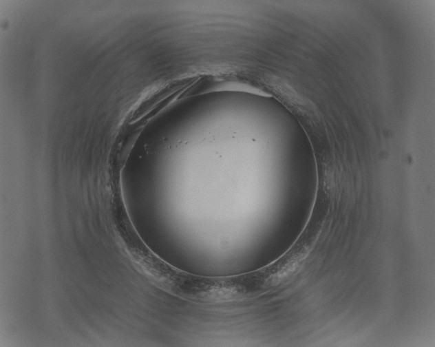 X0000074930256200609081333