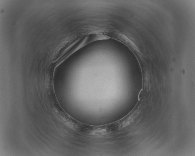 X0000074930257200609081333