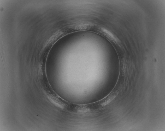 X0000074930258200609081333