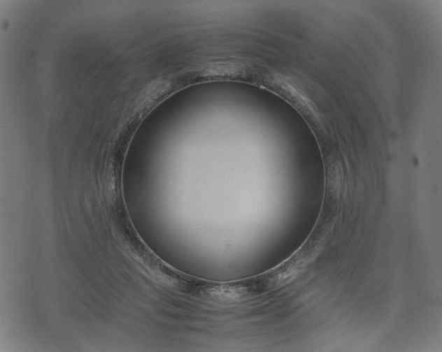 X0000074930261200609081333