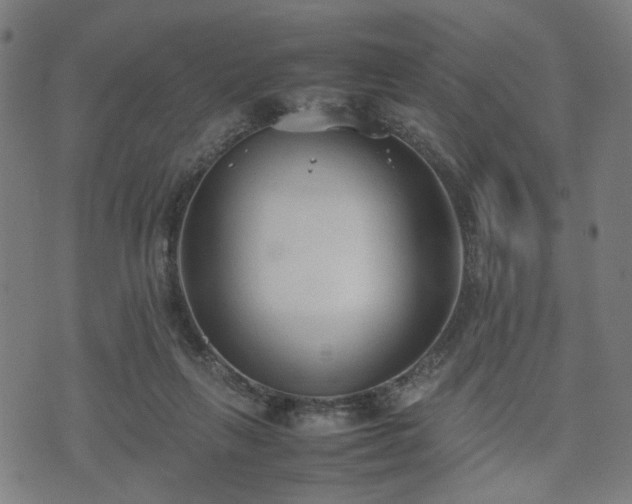 X0000074930263200609081333