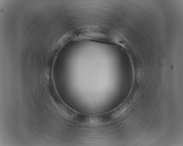 X0000074930264200609081333