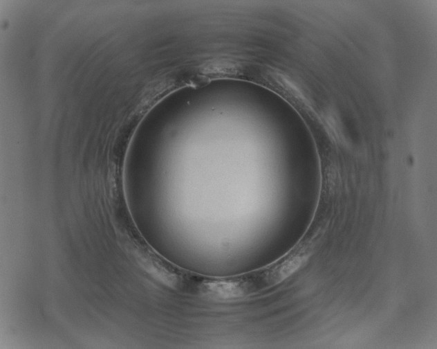 X0000074930265200609081333