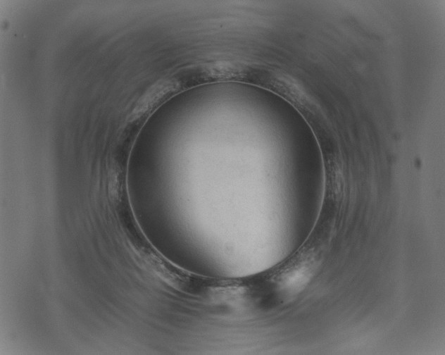 X0000074930266200609081333